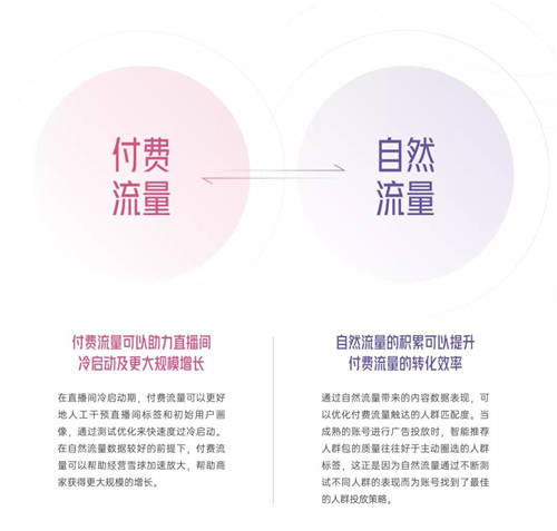 拆解280個新品牌后，我們發(fā)現(xiàn)了可復(fù)制的四招突圍