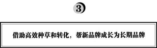 拆解280個新品牌后，我們發(fā)現(xiàn)了可復(fù)制的四招突圍