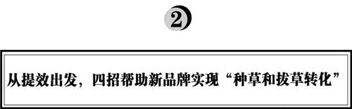 拆解280個新品牌后，我們發(fā)現(xiàn)了可復(fù)制的四招突圍