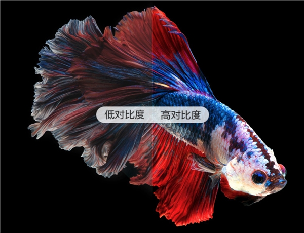 家用投影儀怎么選？奶爸告訴你答案