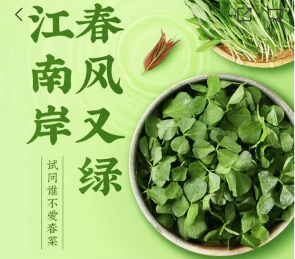 折耳根葉、蠶豆、馬蘭頭.......叮咚買菜推出特色春菜及系列預(yù)制菜