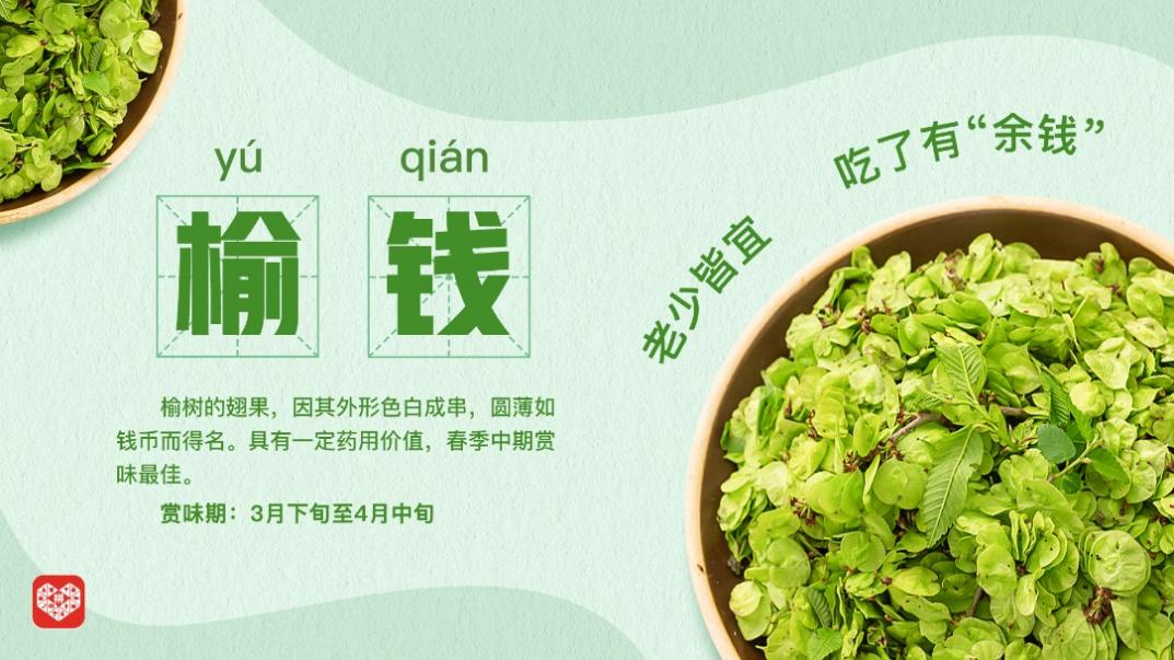 產(chǎn)地直發(fā)時(shí)令、百補(bǔ)加持春天，拼多多春菜爭(zhēng)鮮迎熱銷4.jpg