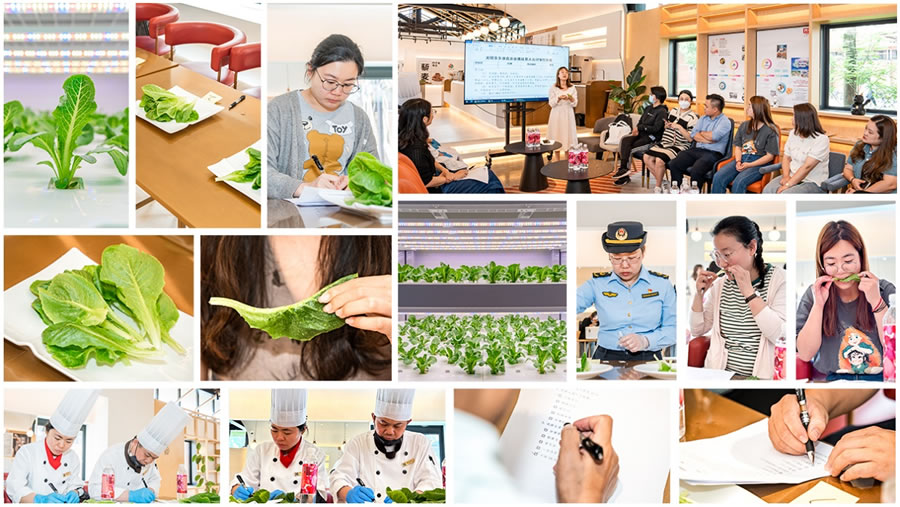 6月6日，15位大眾評審對決賽團隊種植的“翠恬”生菜進行試吃、打分，上海市長寧區(qū)市場監(jiān)管工作人員進行了現(xiàn)場快檢.jpg