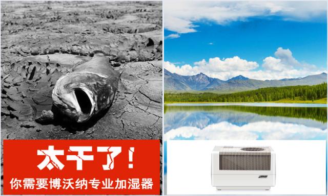 房間太干了，還能用什么加濕器？