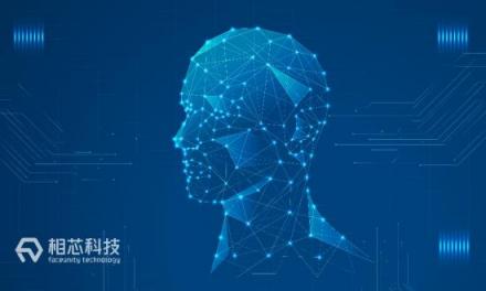 個(gè)稅改革：與其死命算錢，不如讓相芯科技教你“撈金”