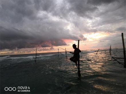 解讀海外華為nova4廣角樣張，大廣角功能讓拍照如虎添翼！
