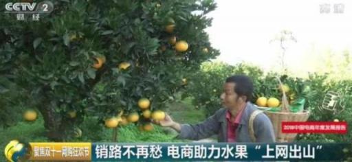拼多多上市“元年”動(dòng)作頻出 想證明什么？