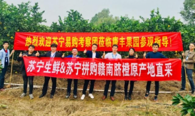 產(chǎn)品向上 流量向下：蘇寧拼購(gòu)的2019