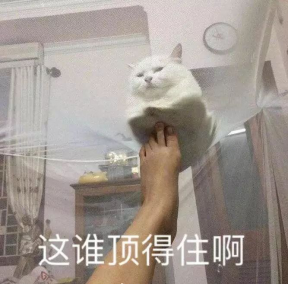 百度春節(jié)要發(fā)10個億，程序猿最近的精神狀況是這樣的
