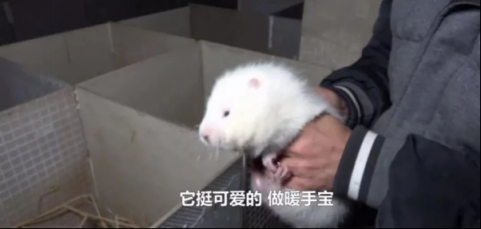 別再喪氣了，西瓜視頻年度短片《向前》讓你看見生活很燃