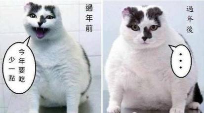 掃一掃就能知道卡路里？華為nova4成減肥好幫手
