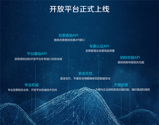 數(shù)族科技開放平臺(tái)亮相廣州支付展，票財(cái)稅賦能零售商企用戶