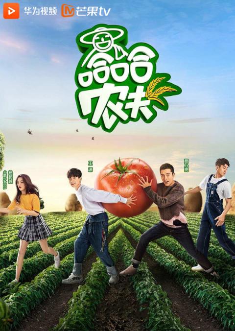 6部熱綜溫暖你的三月 華為視頻帶你看過(guò)癮！
