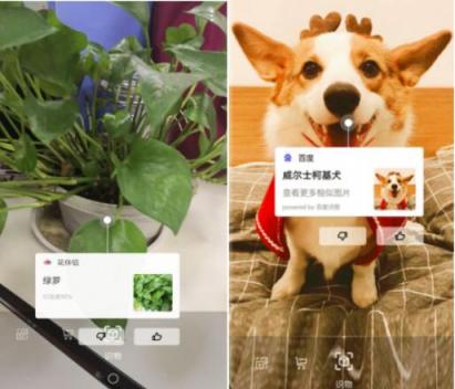 花樣青春多彩人生， 女神節(jié)華為nova系升級(jí)EMUI9.0質(zhì)享生活