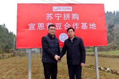 一個(gè)“拼基地”每年售出3億，扶貧對(duì)蘇寧而言絕非口號(hào)！