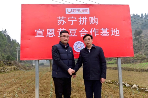 優(yōu)質(zhì)生鮮平臺如何打造？蘇寧拼購給出最佳答案