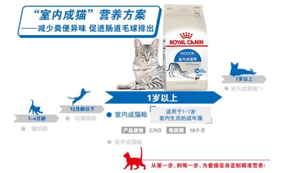 二哈拆家？蘇寧煥新節(jié)給鏟屎官支招