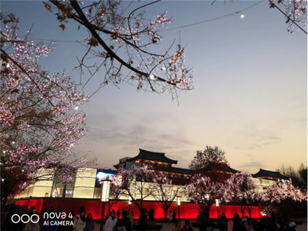 初春正當(dāng)拍照時 nova4讓你拍出最美春意