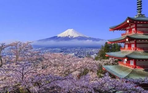 又到賞櫻季！芝麻信用攜手小豬?日本民宿5折起?還可以免押金！