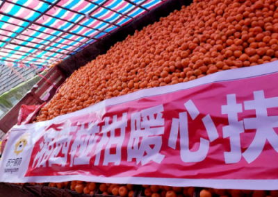 這群人今年在湘西有個3億元的小目標
