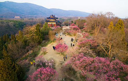 煙花三月，老司機(jī)教你最正確的踏春打開方式！