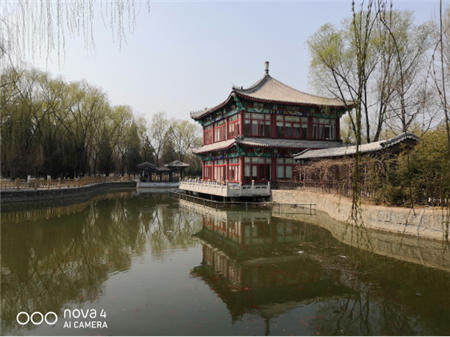 江南踏青攻略：拍下春風(fēng)，吃遍十里！