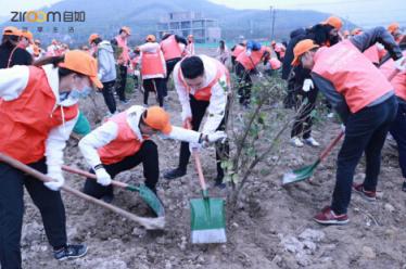 杭州自如綠色公益：共建“自如林”，與城市一起深呼吸