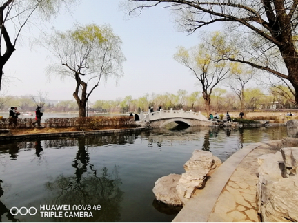 不知如何自拍才更美？華為nova 4e前置3200萬(wàn)自拍神器祝你一臂之力