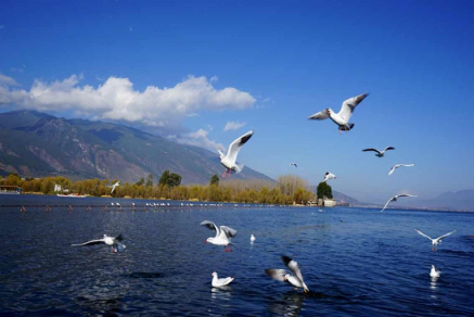 避開(kāi)喧鬧的人群，五一旅游最佳去處