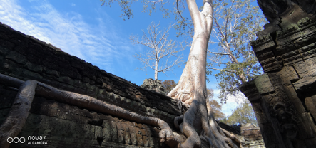 避開(kāi)喧鬧的人群，五一旅游最佳去處