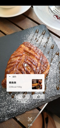 陽春三月，又追著櫻花來到目黑川河畔
