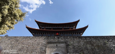 櫻花，油菜花，雪山，古城，憑海臨風一個不漏，陽春三月浪在大理