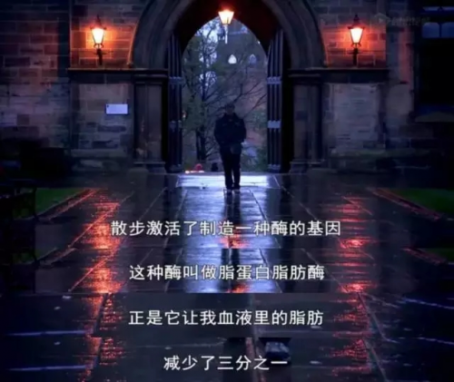誰(shuí)來(lái)拯救年輕人的亞健康？Garmin佳明智能健康手表告訴你