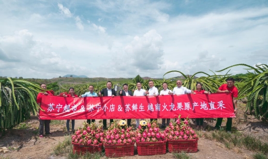 越南火龍果的20分鐘旅程，蘇寧快消實地見證