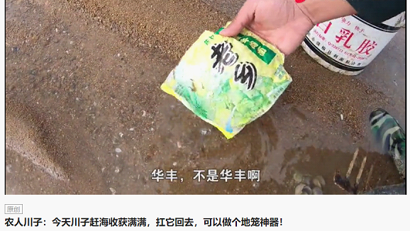 新農(nóng)人川子專拍趕海抓螃蟹，今日頭條粉絲206萬！獲“海鮮搓澡一哥”