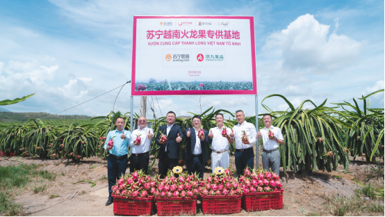 再包3萬畝越南火龍果，蘇寧如何攪動快消市場一池春水？