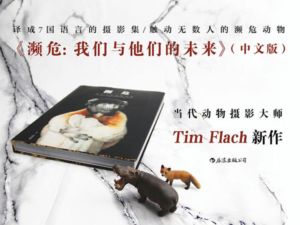 攝影集《瀕?！帆@周迅舒淇發(fā)聲支持，摩點(diǎn)為改善瀕危動物生存環(huán)境助力