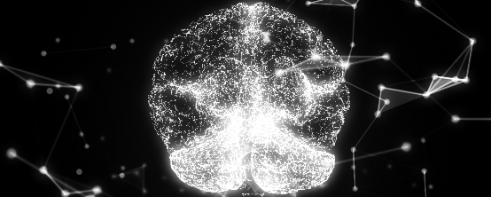 真實版“最強大腦”研究，浪潮存儲承載起腦科研PB級新數(shù)據(jù)