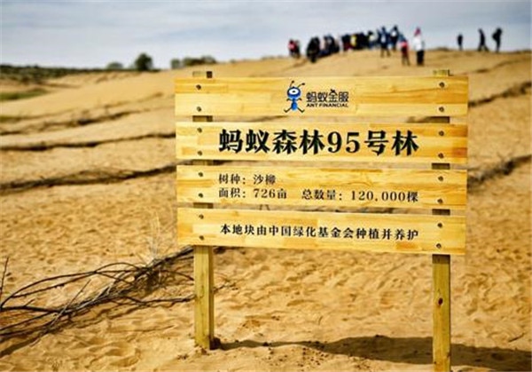 AI遇到公益，天貓精靈螞蟻森林套裝首發(fā)