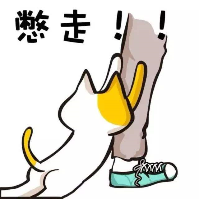 尷尬的Wi-Fi體驗(yàn)讓金融網(wǎng)點(diǎn)“丟面”？