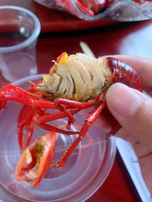 無小龍蝦不夏天！蘇寧拼購拼基地助力生鮮自由頻獲央黨媒點贊