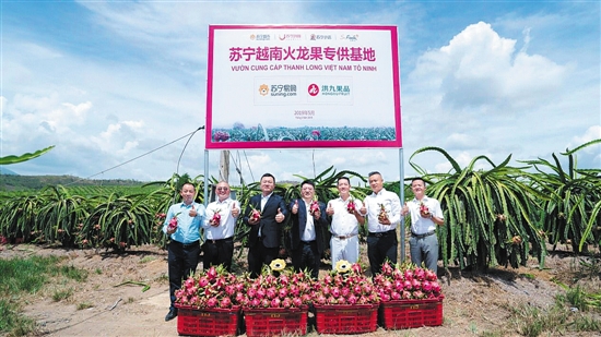 水果“漲聲一片”？蘇寧快消助你“水果自由”