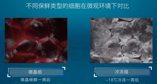 引爆冰箱行業(yè)的“微晶一周鮮”大揭秘！美的微晶冰箱如何做到“不凍原鮮，口感如初”？