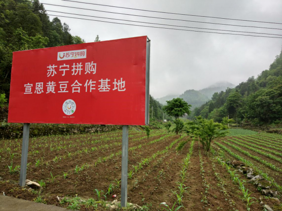 818蘇寧拼購(gòu)開(kāi)啟新玩法，“分享經(jīng)濟(jì)”助力鄉(xiāng)村振興