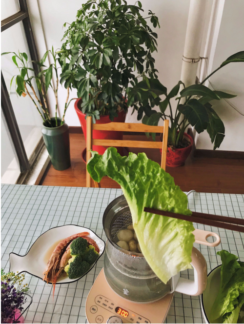 在家不開火也能涮火鍋？鳴盞涮涮養(yǎng)生壺開啟輕養(yǎng)生活