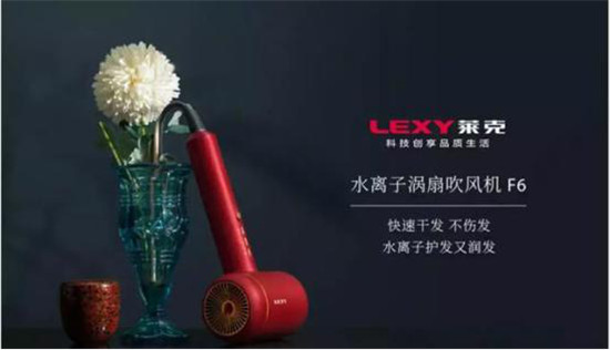 萊克萊克F6水離子渦扇吹風機，護發(fā)潤發(fā)不傷發(fā)