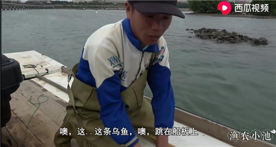 烏魚主動上船、魚蝦講究體面，“姜太公”式打漁走紅西瓜視頻