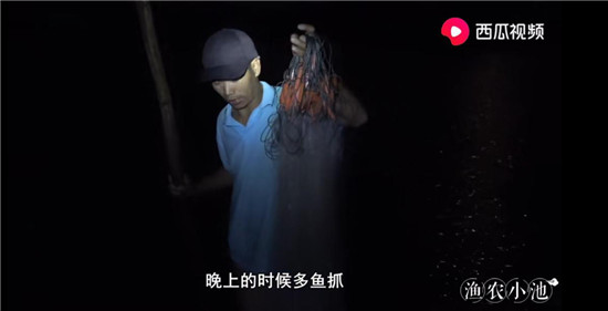 烏魚主動上船、魚蝦講究體面，“姜太公”式打漁走紅西瓜視頻
