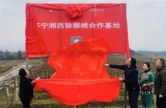 “95后”湘西少年返鄉(xiāng)助脫貧：搭上蘇寧拼購(gòu)快車，做甜美事業(yè)