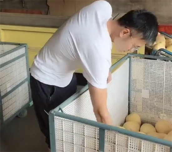 蘇寧拼購(gòu)護(hù)航琯溪蜜柚上行：不止拼價(jià)格，更要拼品質(zhì)！